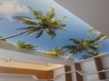Obraz na suficie palmy i niebo