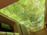 Nadruk na suficie z LED zielony las i niebo